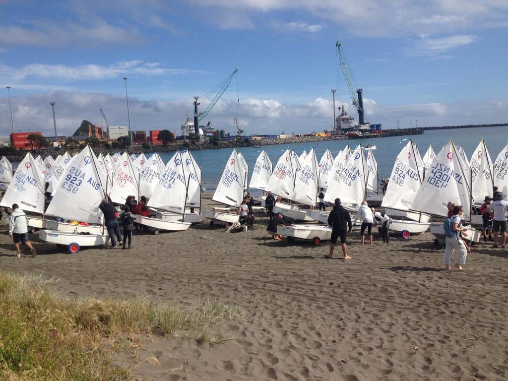 Open Fleet day 1 - North Island Optimist Championships, Day 1 - November 2013 © Angus Haslett